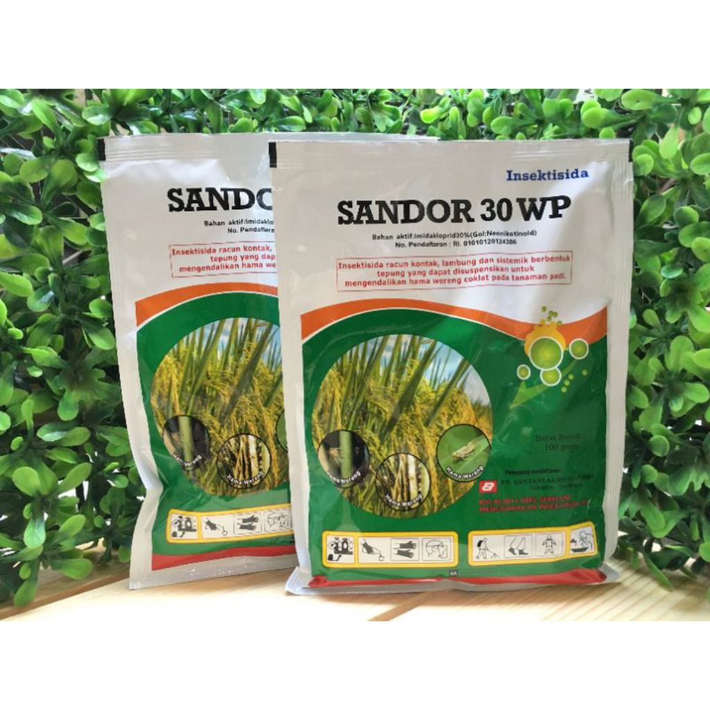 Sandor 30 wp