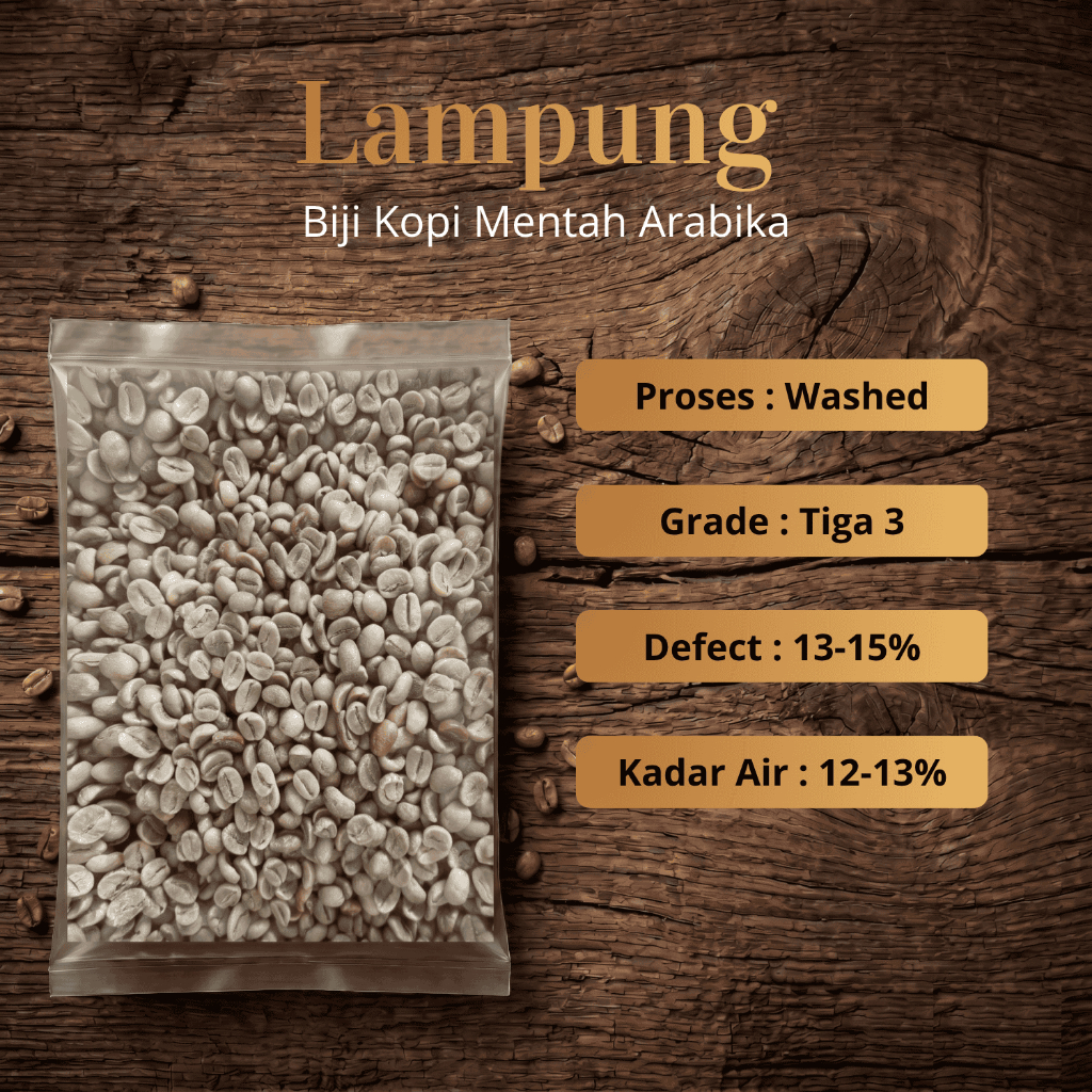 Green Bean biji kopi Arabika Lampung - Komersial