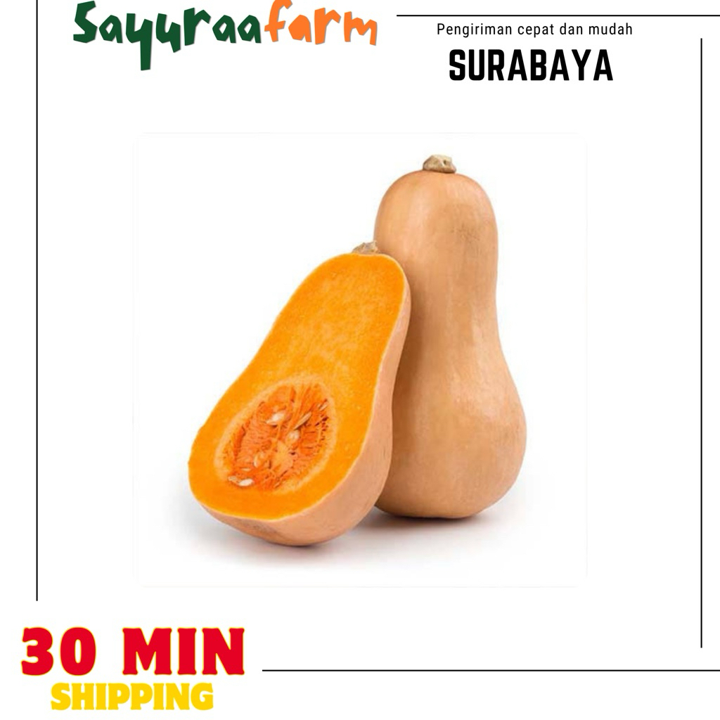 Butternut pumkin - labu butternut perbuah