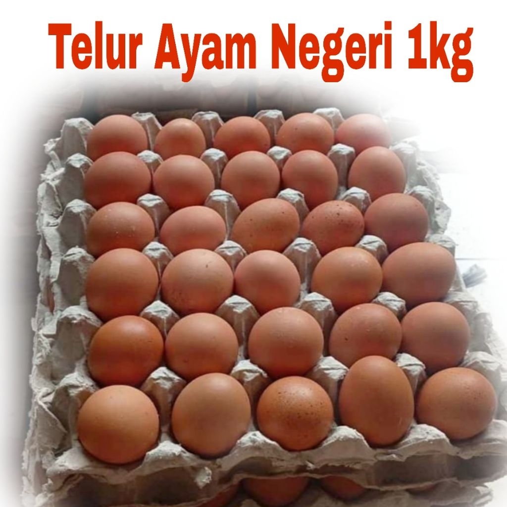 Telur Ayam 1Kg Telur Ayam Negeri Telor 1Kg