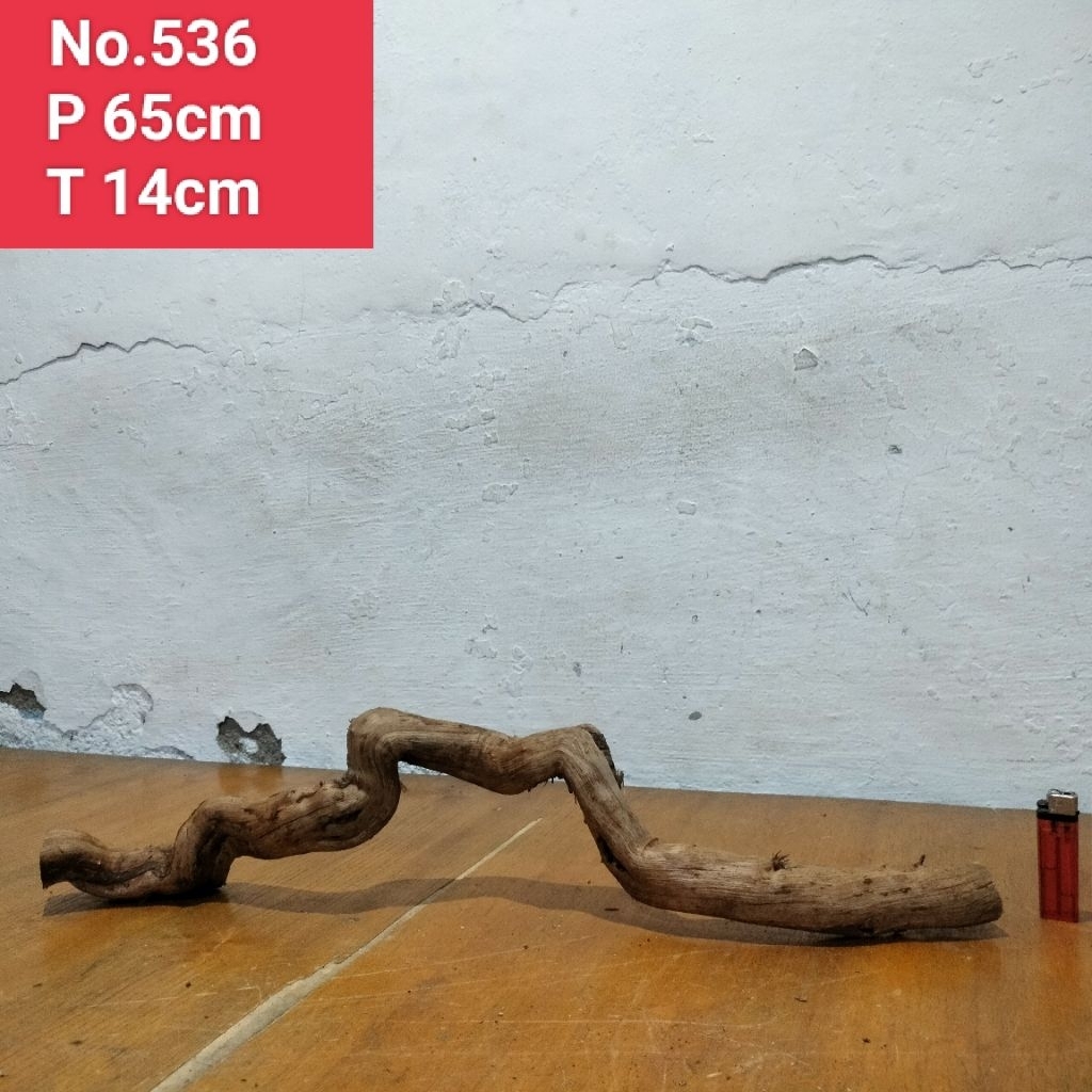 akar santigi laut akar dekorasi aquarium aquascape 536