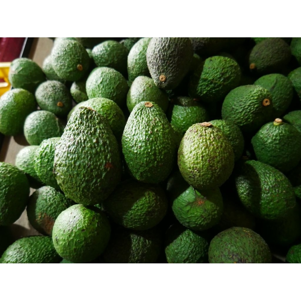 Alpukat Hass/AvoHass - 1 Kg