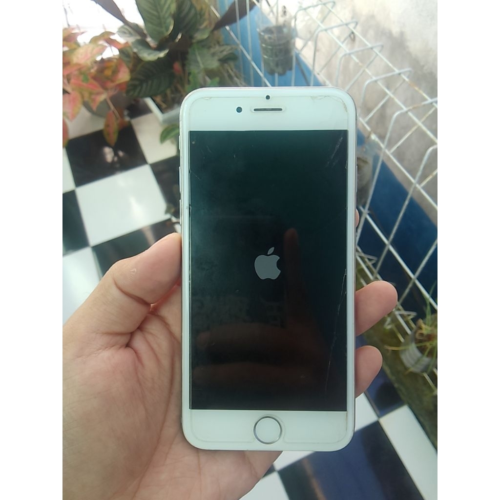 Iphone 6G Stuck Logo Restar Second