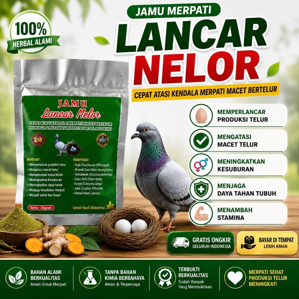 Jamu Merpati Betina Lancar Nelor Pil Obat Macet Telur Suplemen Kesuburan Angkrem Produksi Telur