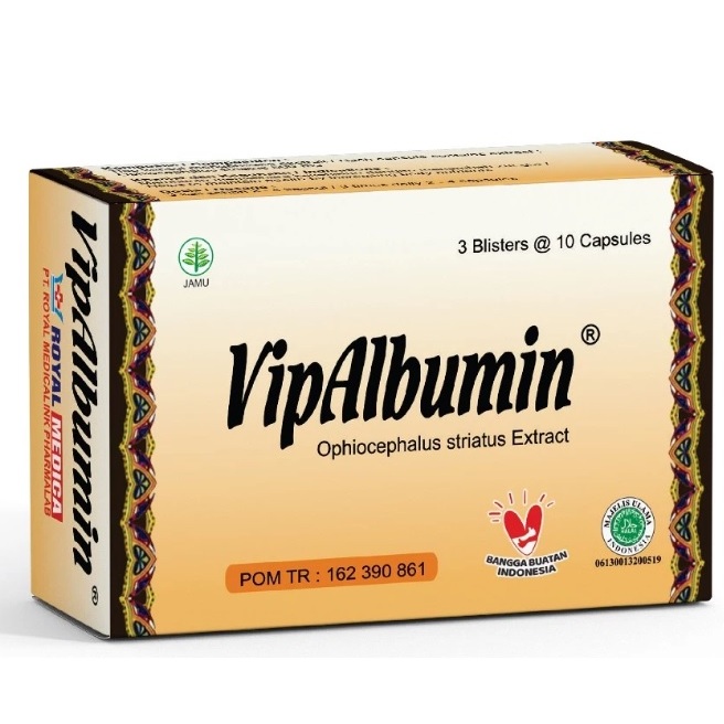 Vipalbumin vitamin albumin ekstrak ikan gabus