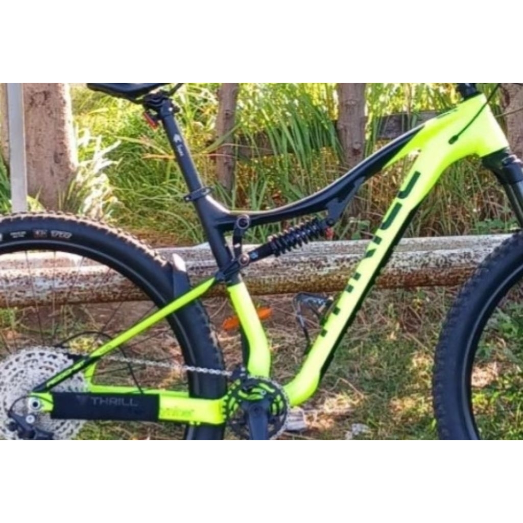 Frame Thrill RICOCHET 29 er Frame 29 inch