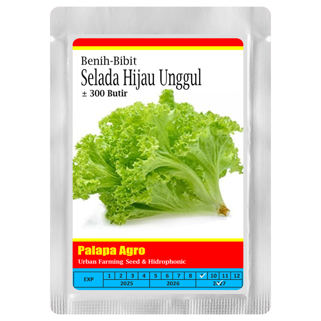 Bibit Selada Hijau Unggul - Benih Selada Hijau Lalap