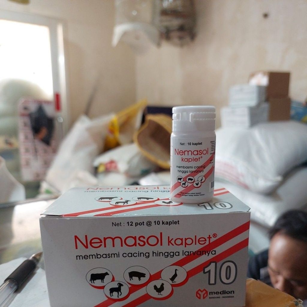 NEMASOL 10 KAPLET MEMBASMI CACING GILIK HINGGA LARVANYA.