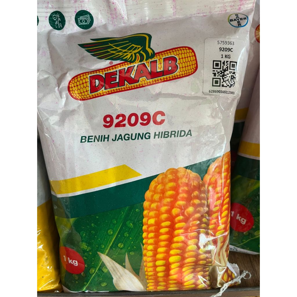 Benih Jagung Hibrida Dekalb DK 9209C 1 Kg Original