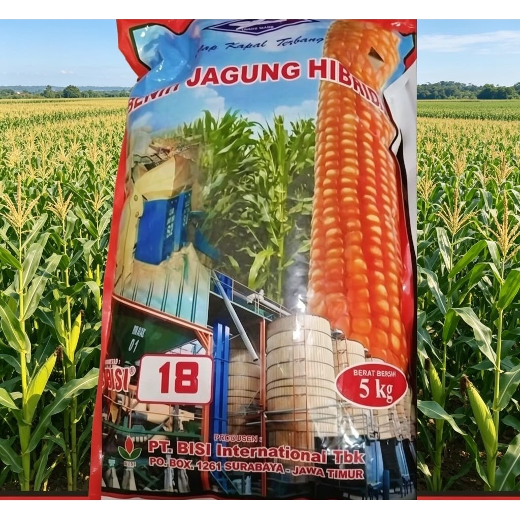 BENIH JAGUNG BISI 18 KEMASAN 5kg