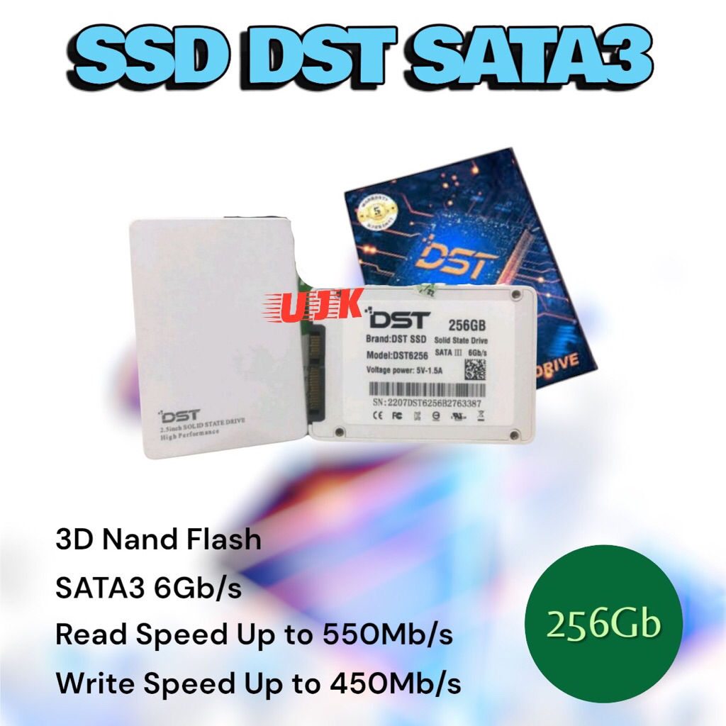 SSD DST 256GB SATA III