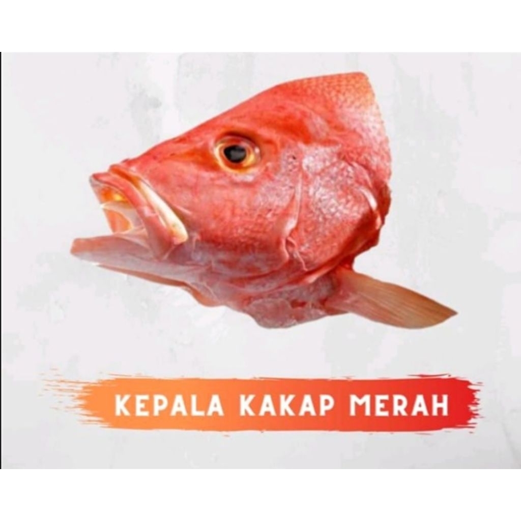 KEPALA IKAN KAKAP MERAH 1 KG / KEPALA KAKAP MERAH BEKU