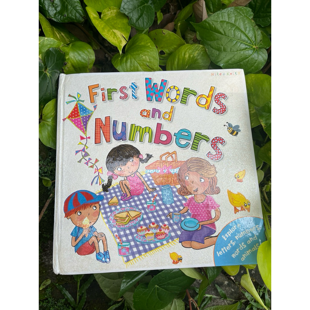 Miles Kelly First Words and Numbers Preloved