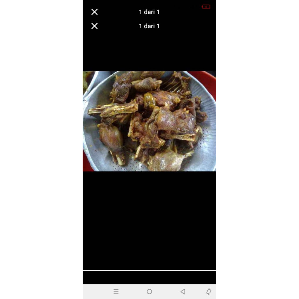 jual daging burung ruak ruak sdh diungkep