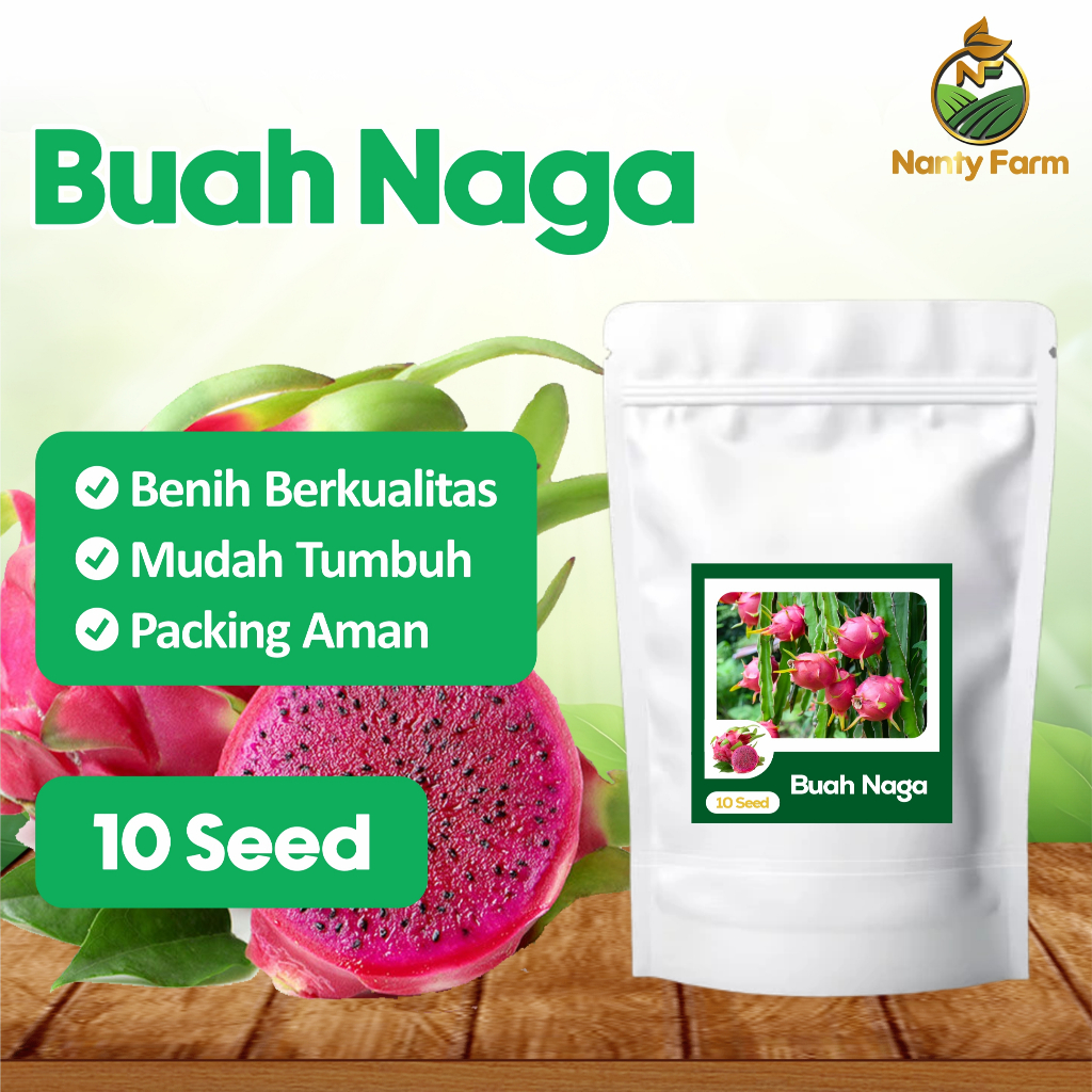 Benih Biji Buah Naga Merah 10 Biji