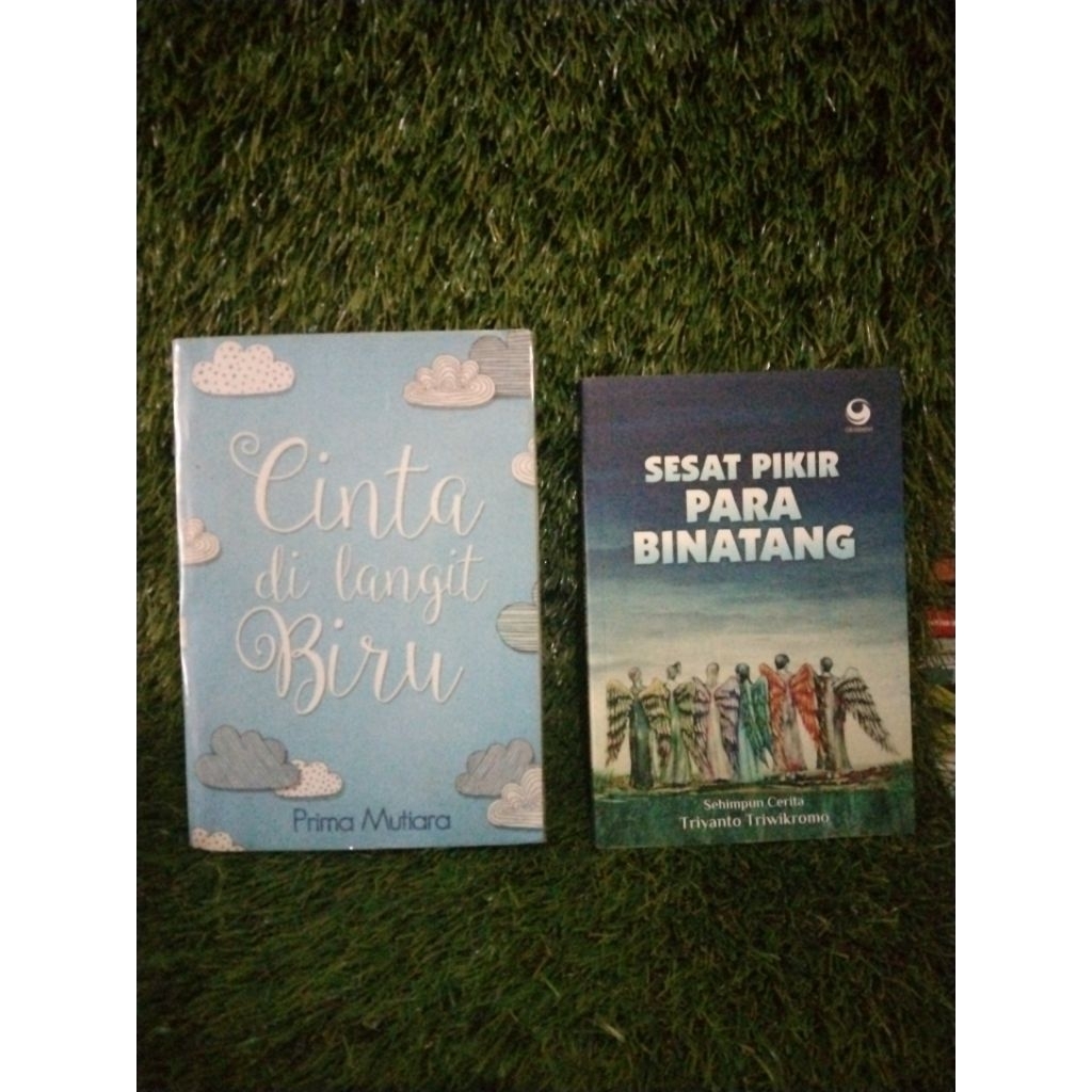 novel CINTA DI LANGIT BIRU /SESAT PARA BINATANG