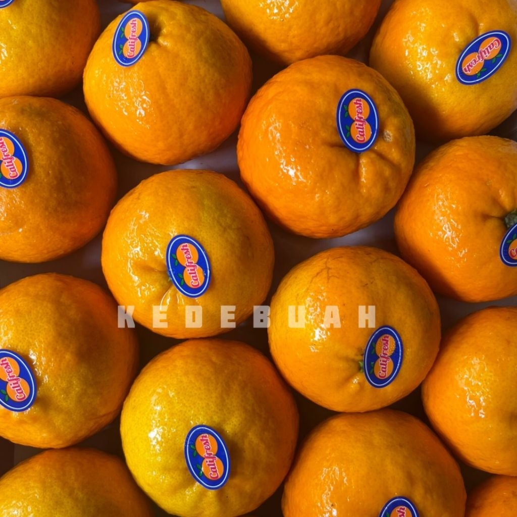 Jeruk Wokam | Wogan Mandarin