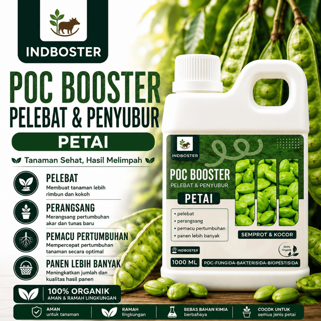 Pupuk Petai Agar Cepat Berbuah / Pupuk Buah Petai / Pupuk Buah Pete / Pupuk Pete Organik Berbuah Leb