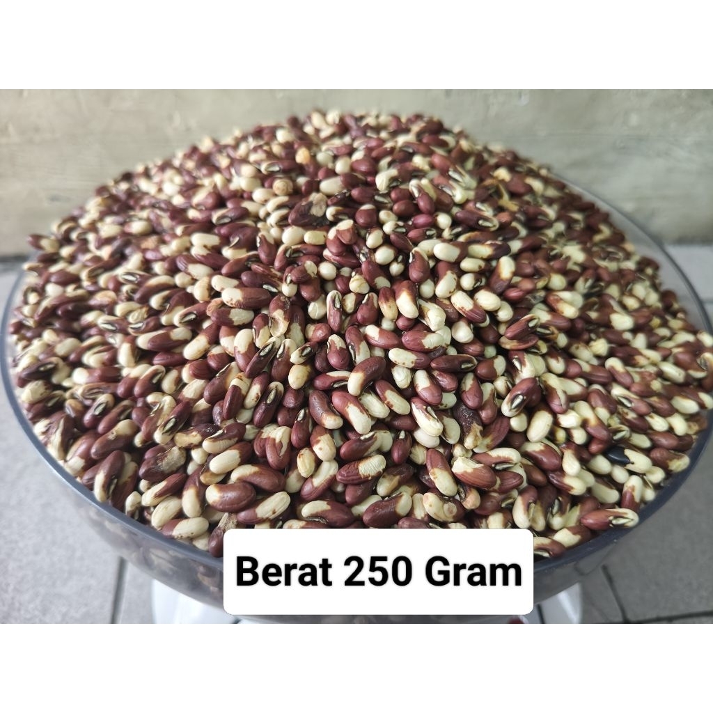 Benih kacang panjang merah putih super 250 gram orian langsung dari petani