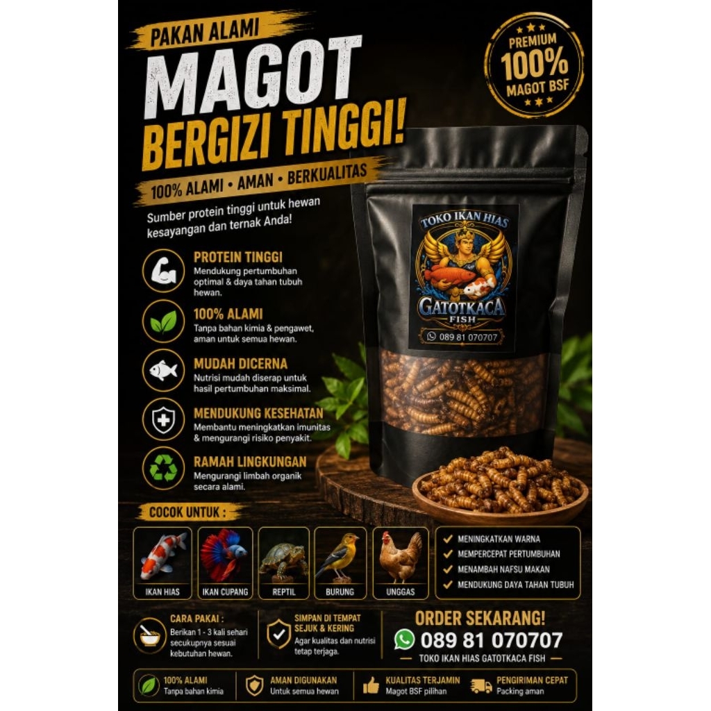 Magot Kering