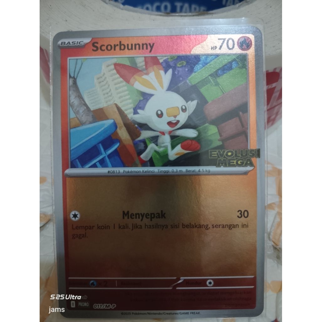 Pokemon Scorbunny bimbingan rasi