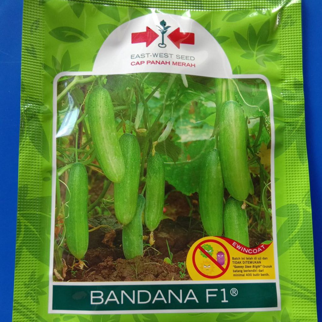 Benih Timun Baby BANDANA F1 Cap Panah Merah