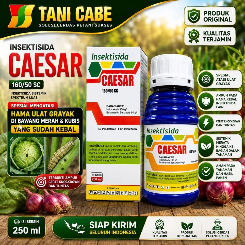 Insektisida Caesar 250 ML hama ulat grayak bawang merah