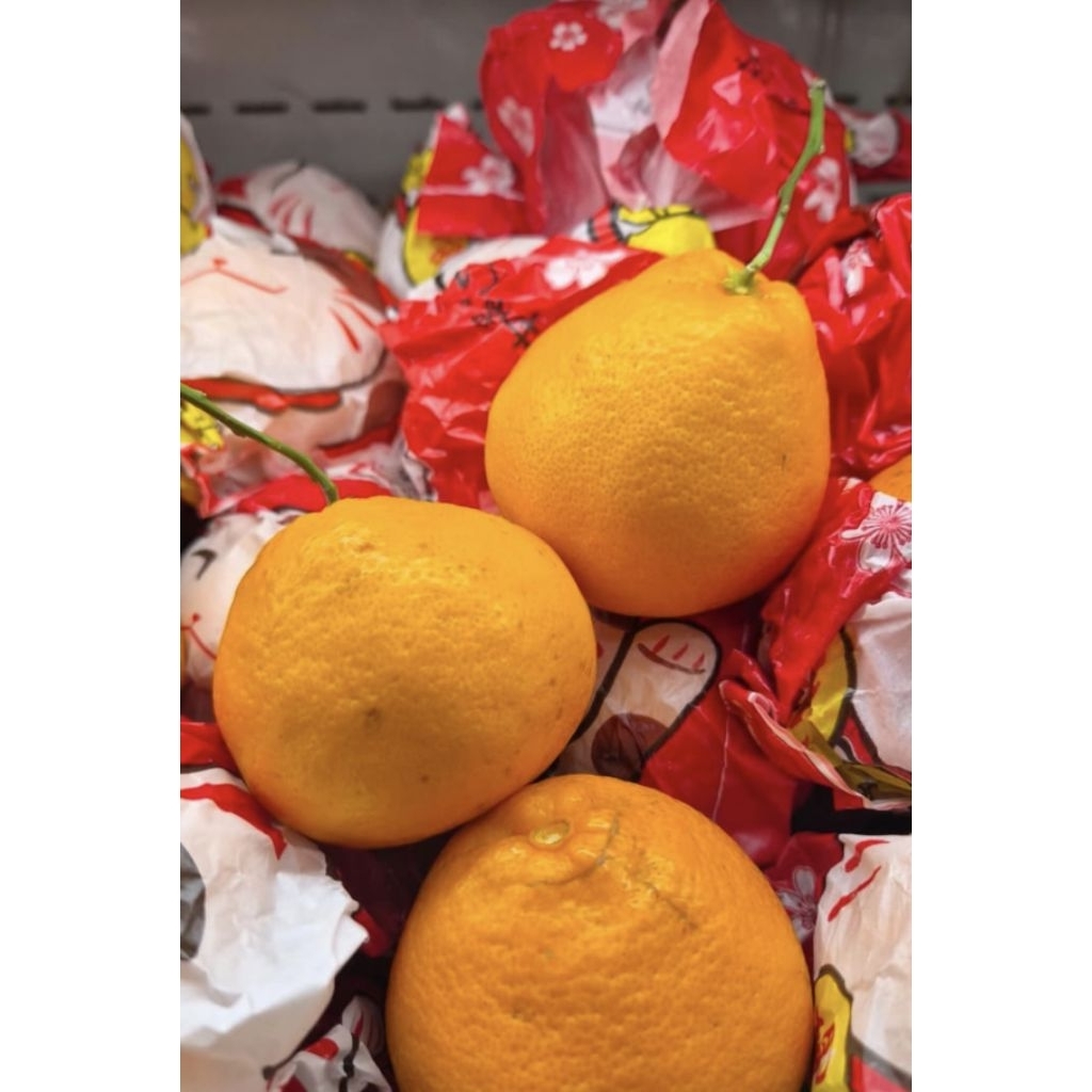 jeruk dekopon papagan super premium manis segar