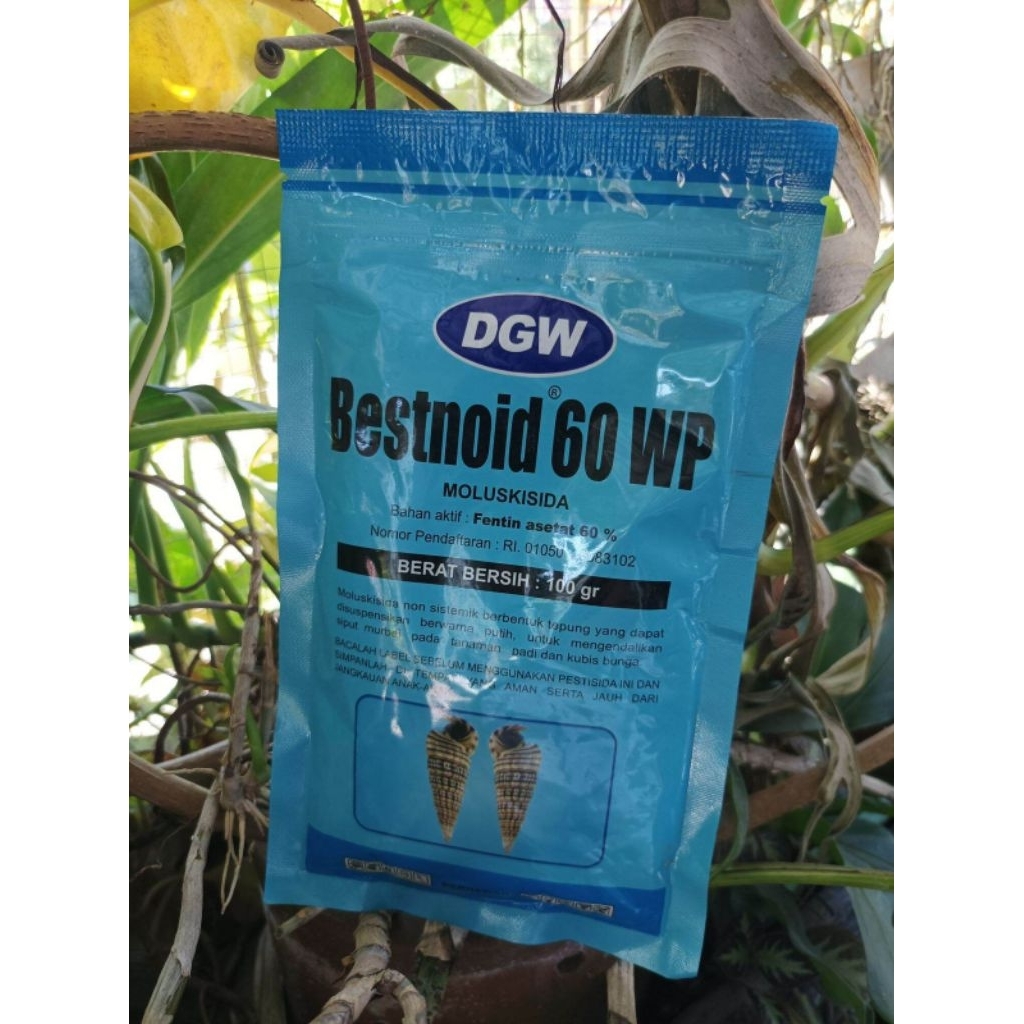 Bestnoid 60WP 100gr