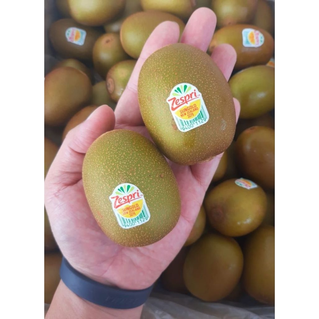 [PREMIUM] Buah Kiwi Hijau Zespri 500gr Kiwi Green New Zealand