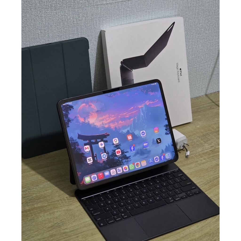 iPad Pro 13 inch M5 1TB WiFi + cellular second inter