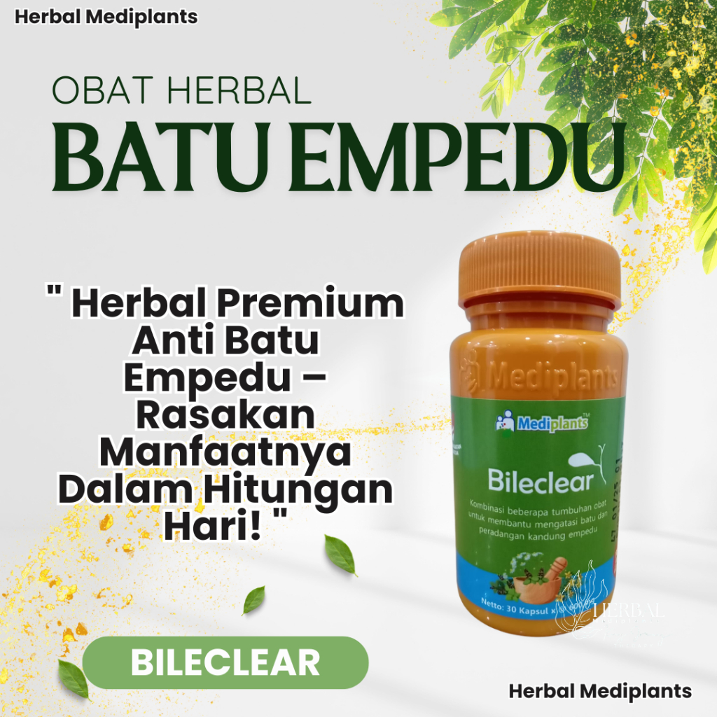 Bileclear - Obat Herbal Batu Empedu - Herbal Radang Batu Empedu Paling Ampuh - Mediplants