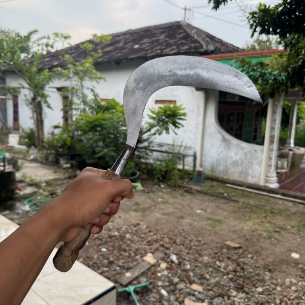 Arit Sabit Baja Putih sepuhan pembersih rumput