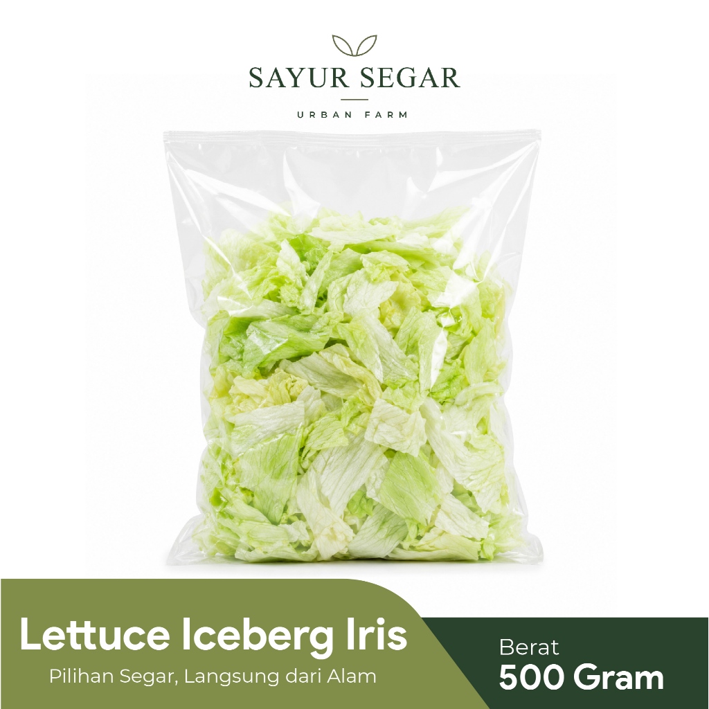 Iceberg Lettuce Pack 500gr / Lettuce Praktis / Sayuran Segar / Sayuran Organik / Sayur Surabaya