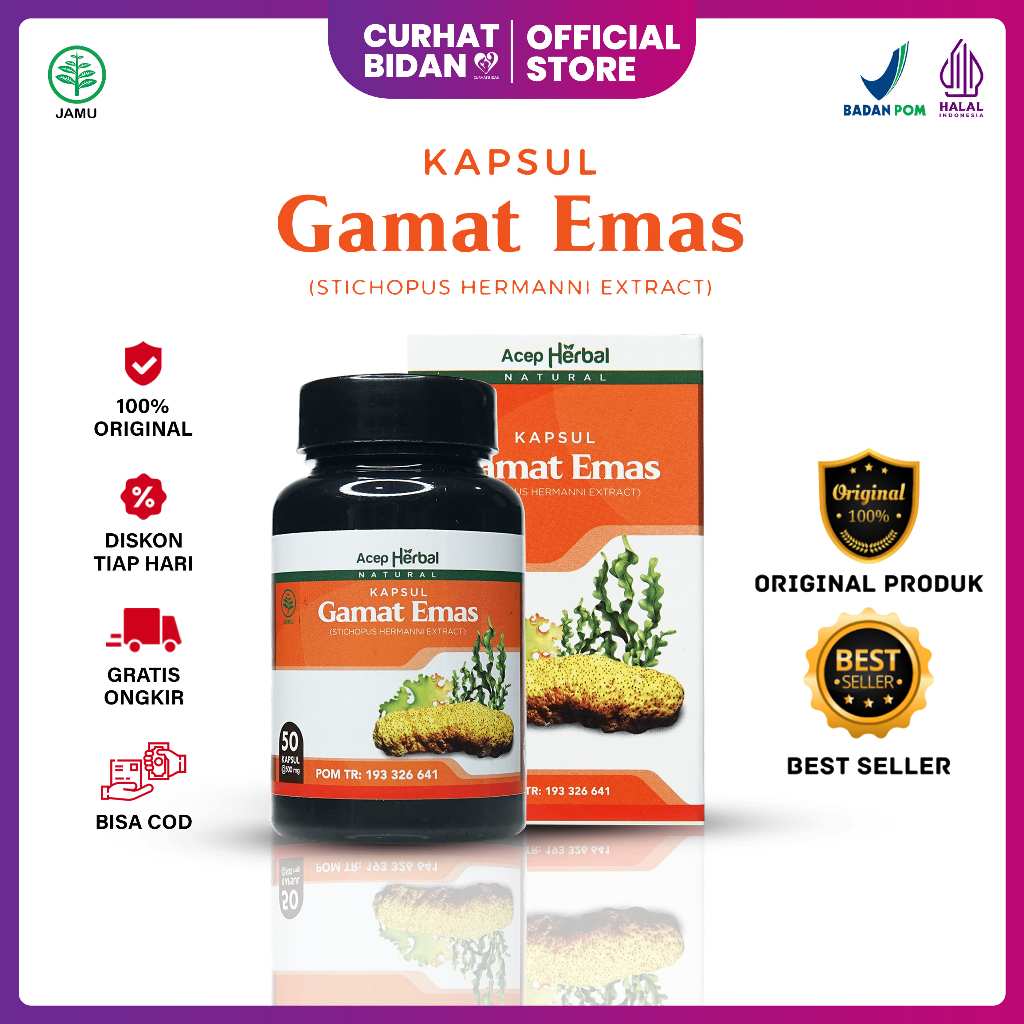 Obat Herbal Kapsul Gamat Emas 100% Original - Obat Varikokel Benjolan Kemaluan  Hernia Turun Berok