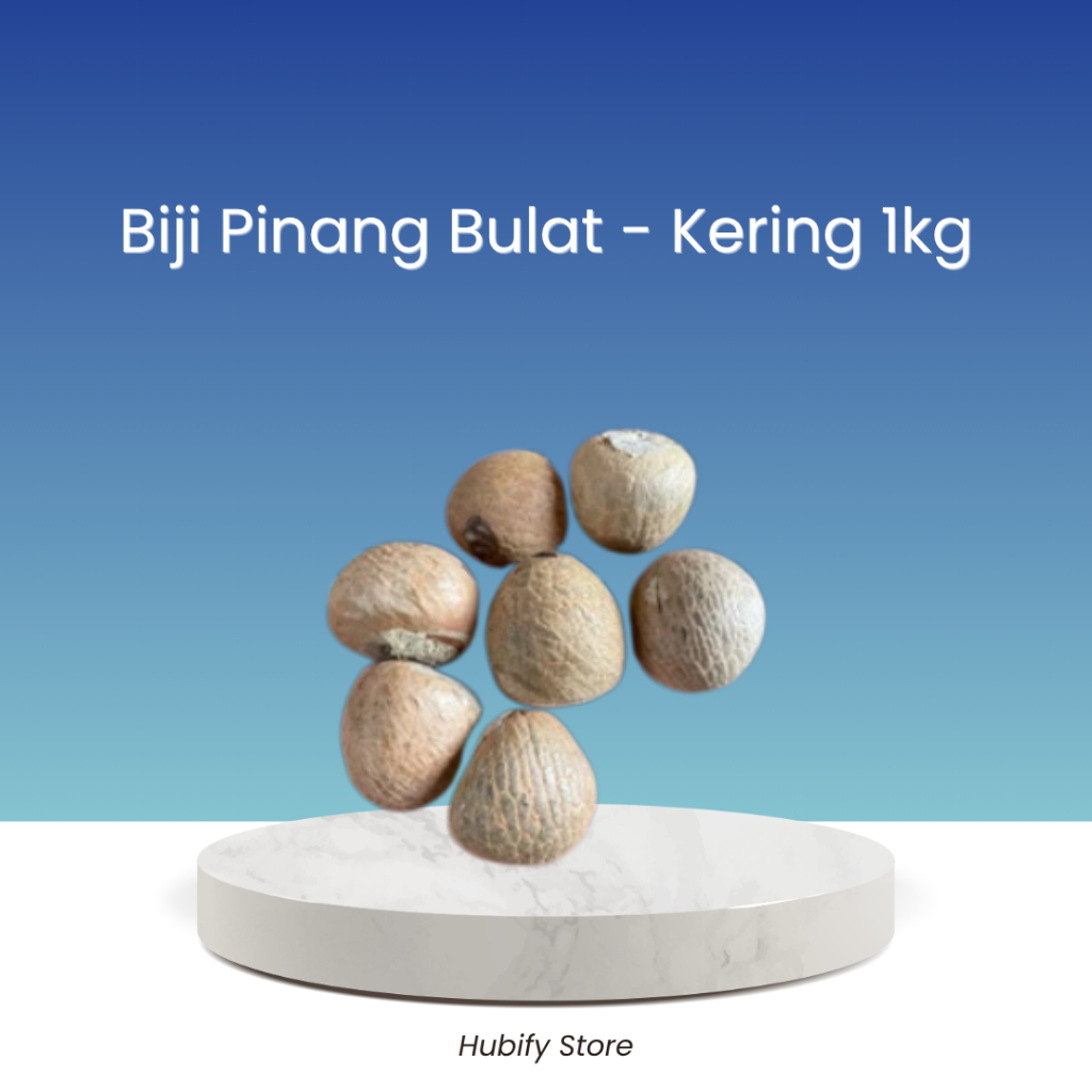 Biji Pinang Kering Bulat 1Kg Premium
