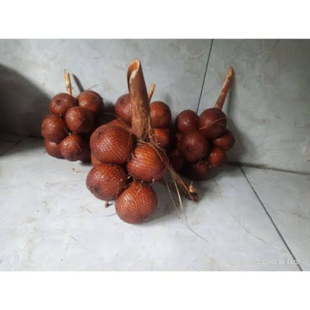 salak bali sibetan