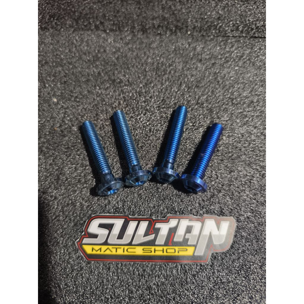Original Probolt Titanium Baud Set Gardan Aerox/Nmax