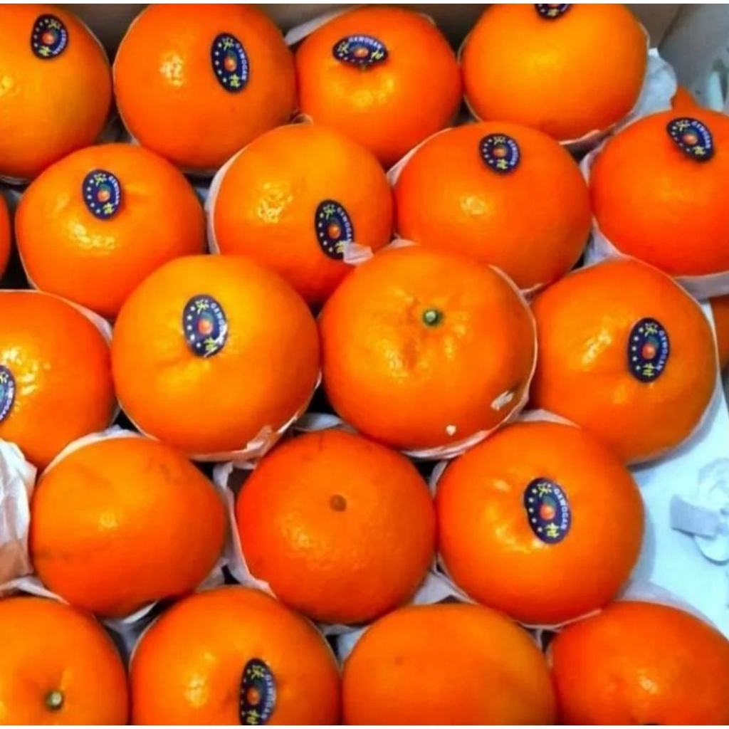 Jeruk wokam mandarin