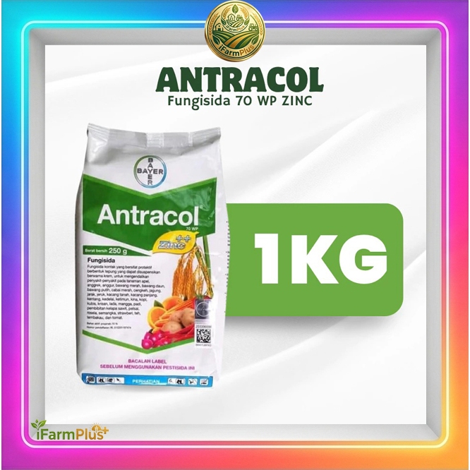 Fungisida Antracol 70 WP 1KG – Fungisida Perlindungan Tanaman
