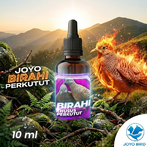 OBAT BURUNG PENDONGKRAK BIRAHI PERKUTUT | VITAMIN BURUNG PENDONGKRAK BIRAHI TESTOTERON & ESTEROGEN |
