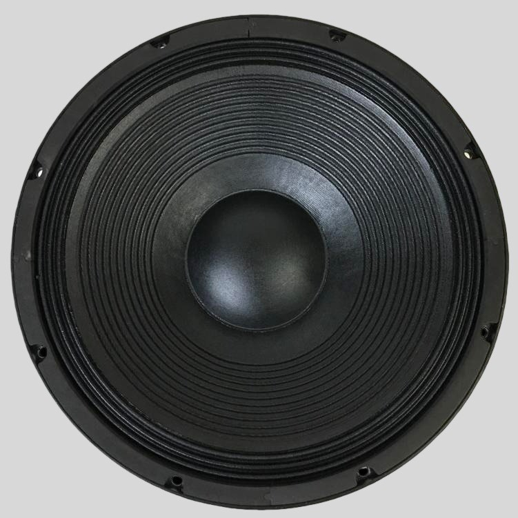 KOMPONEN SPEAKER B&C 15SW100 NEO SPEAKER B&C 15 INCH SUBWOOFER 15 SW 100 bnc 15sw100