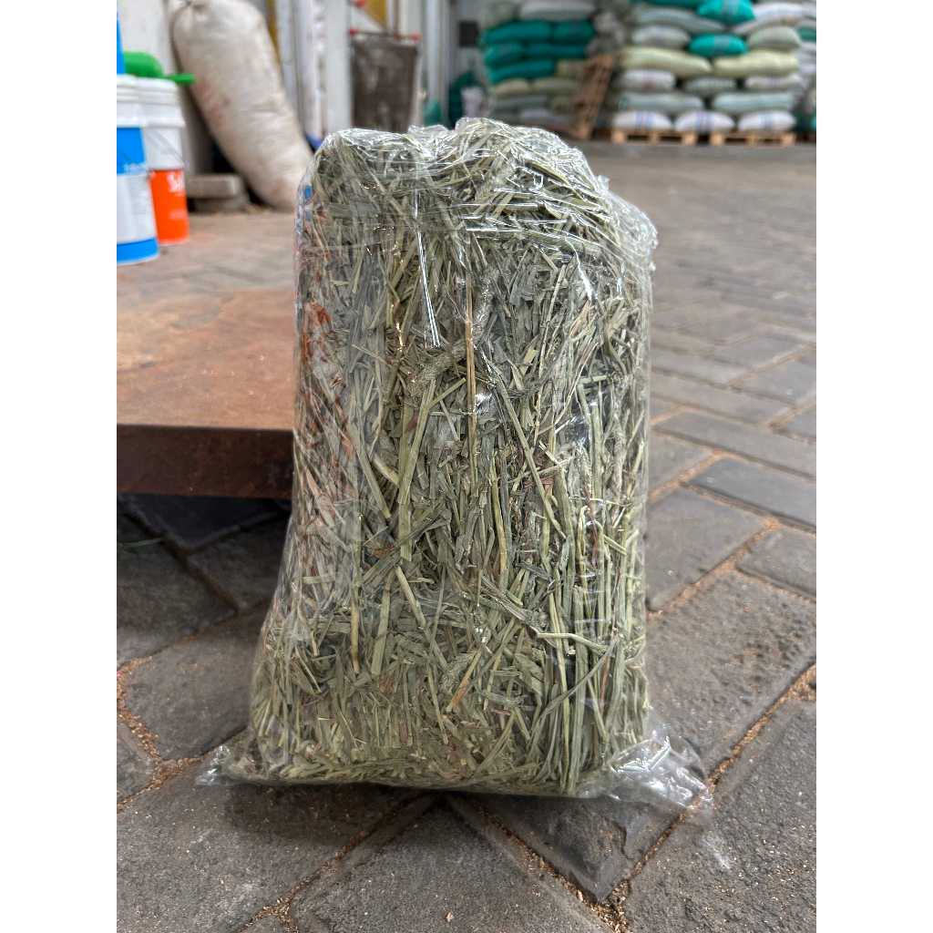 Timothy Hay 1st Cut Makanan Kelinci Marmut Guinea Pig | Rumput Hay Premium Hijau Wangi