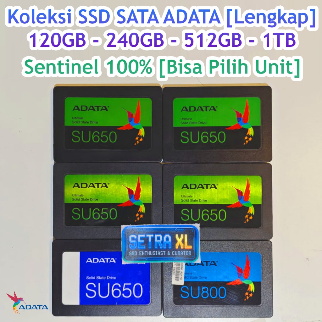 SSD ADATA Sentinel 100% Second 120GB 240 480 512 Bekas SATA Visi Pro Murah 120 128 256 500 1TB SSD A