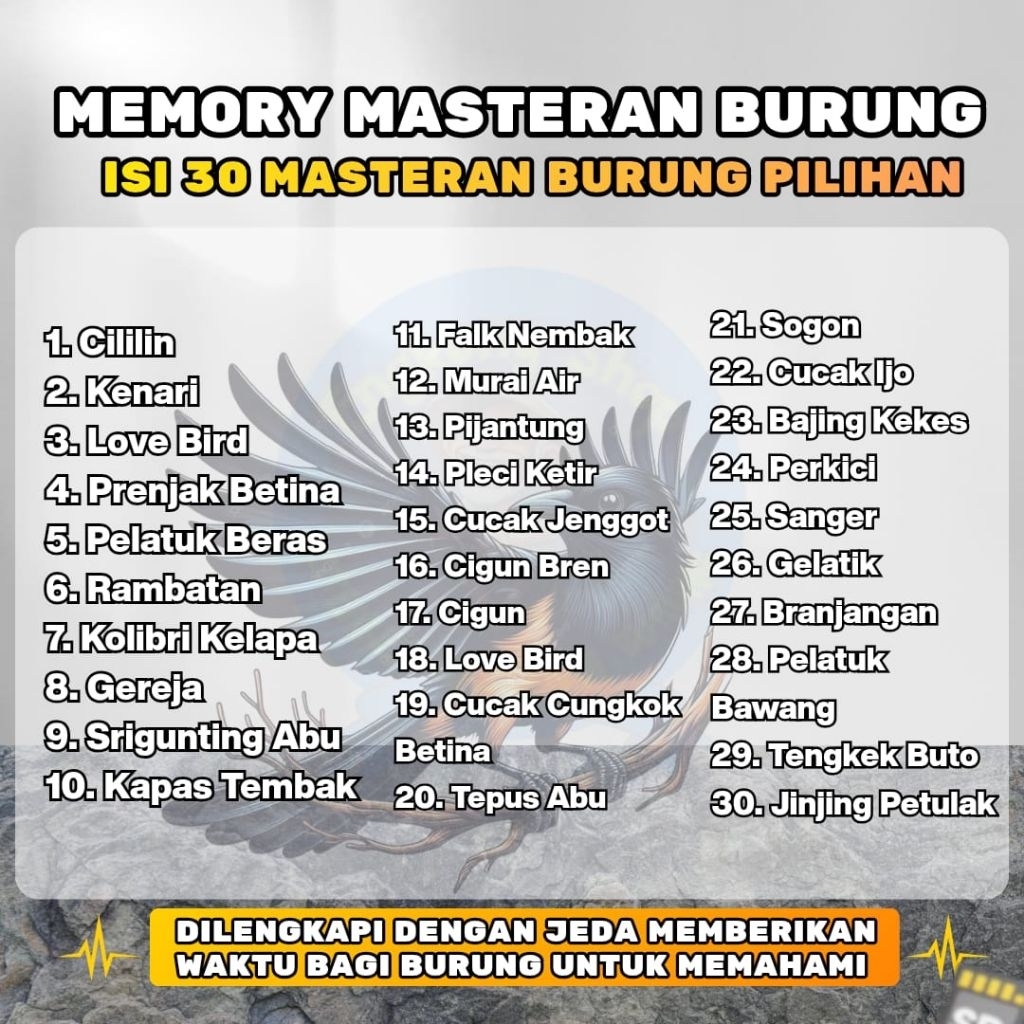 memori masteran burung isi 30 suara jernih