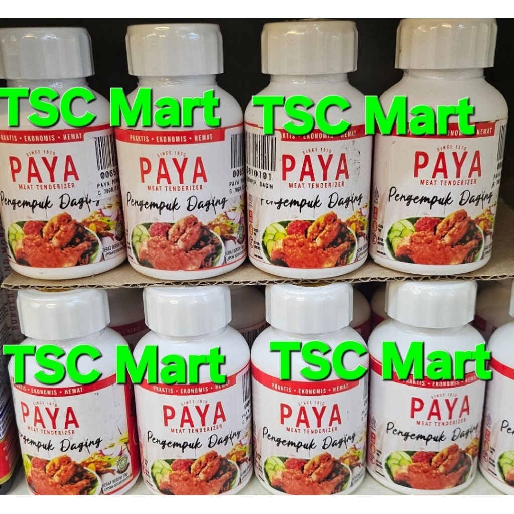 Paya Meat Tenderizer powder bottles 70Gram