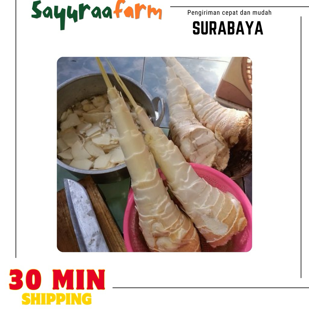 Rebung matang - rebung lumpia 250gr rebung fresh