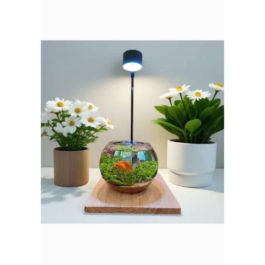 LAMPU AQUARIUM DLX / LAMPU AQUARIUM BOWL / LAMPU AQUARIUM BULAT