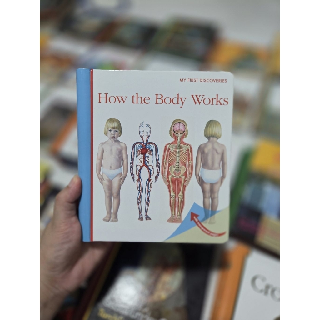 MFD How the Body Works