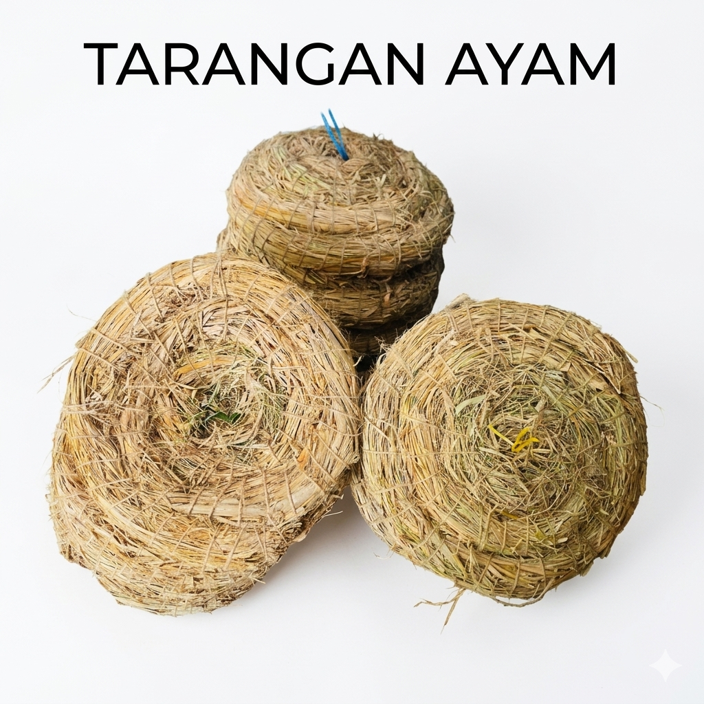 SARANG TARANGAN AYAM SERAT JERAMI